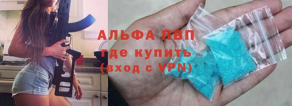 прущие грибы Баксан
