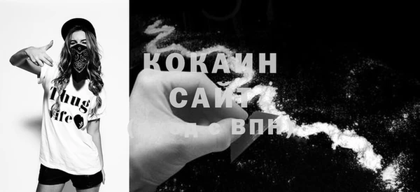 прущие грибы Баксан
